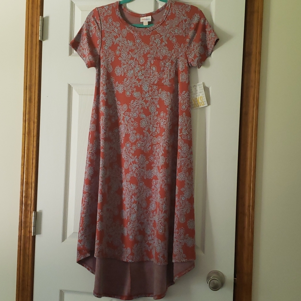 LulaRoe NWT Carly Dress Size XXS